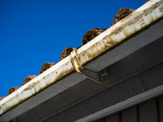 Soffit, Fascia & Gutter Painting